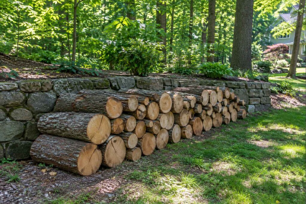 Tree Service Companies in Montville and Kinnelon, NJ