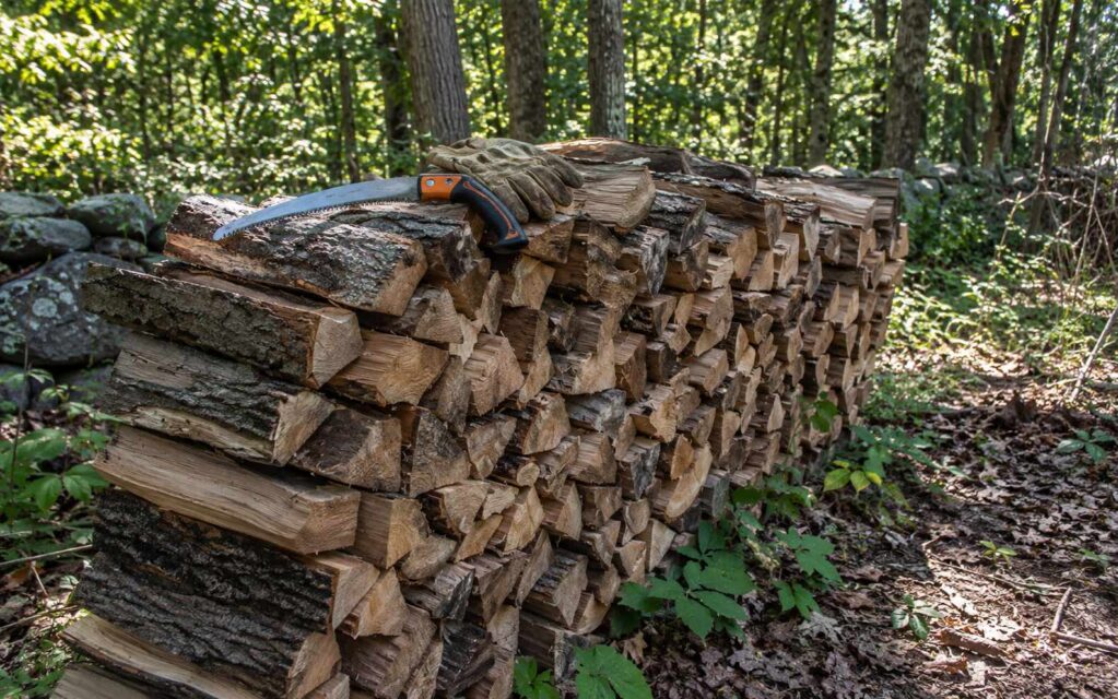 Tree Service Companies in Somerset County, NJ