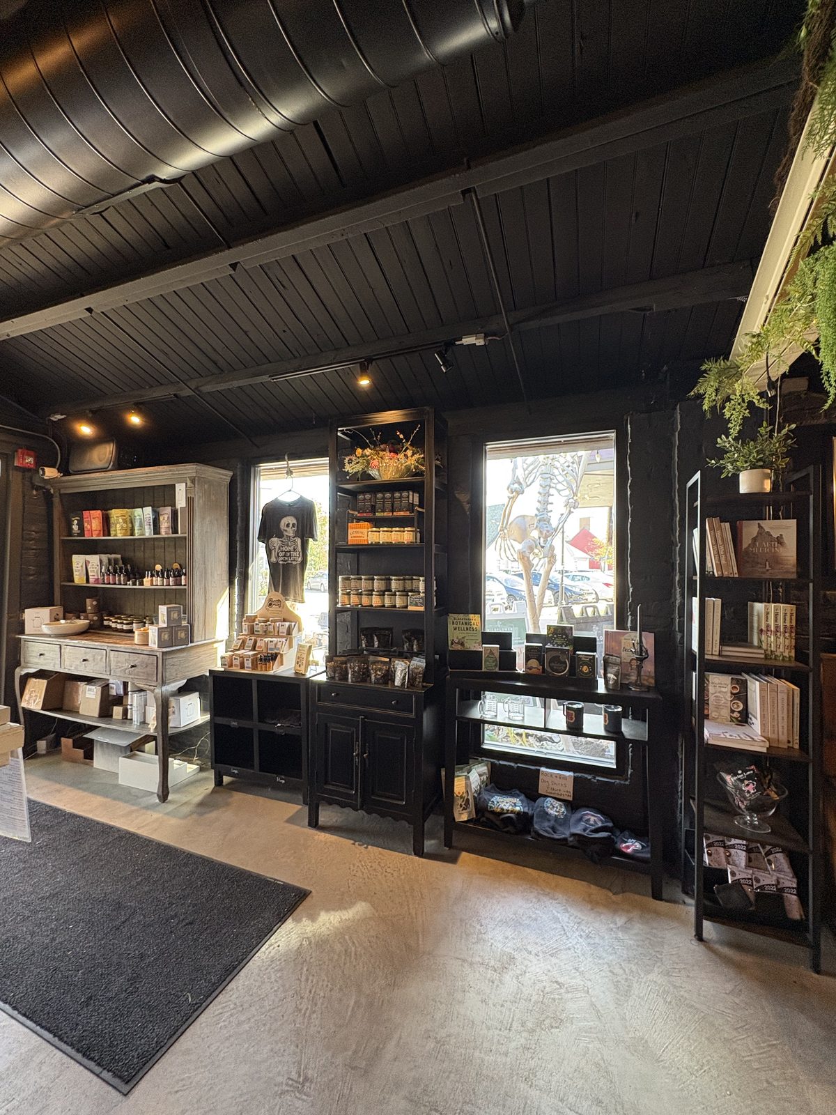 Alkemy Coffee Co., Flemington - shelves of retail goods by the front window